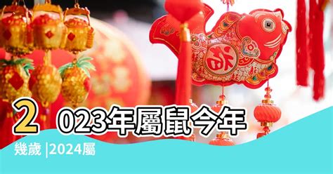 113年龍年|屬龍今年幾歲｜屬龍民國年次、龍年西元年